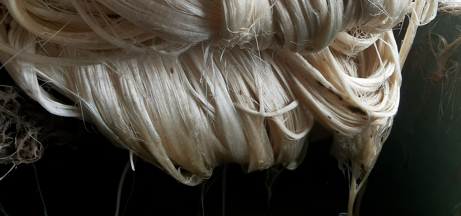 GREENLAND NATURAL TEXTURED WALLCOVERINGS , Global Leading